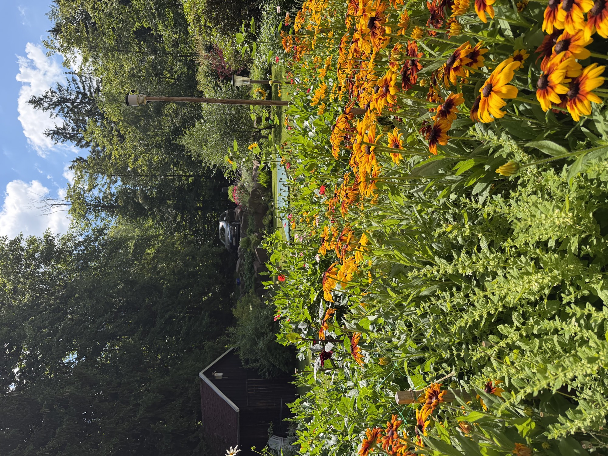 Blumengarten mit Gartenhaus am Waldrand
